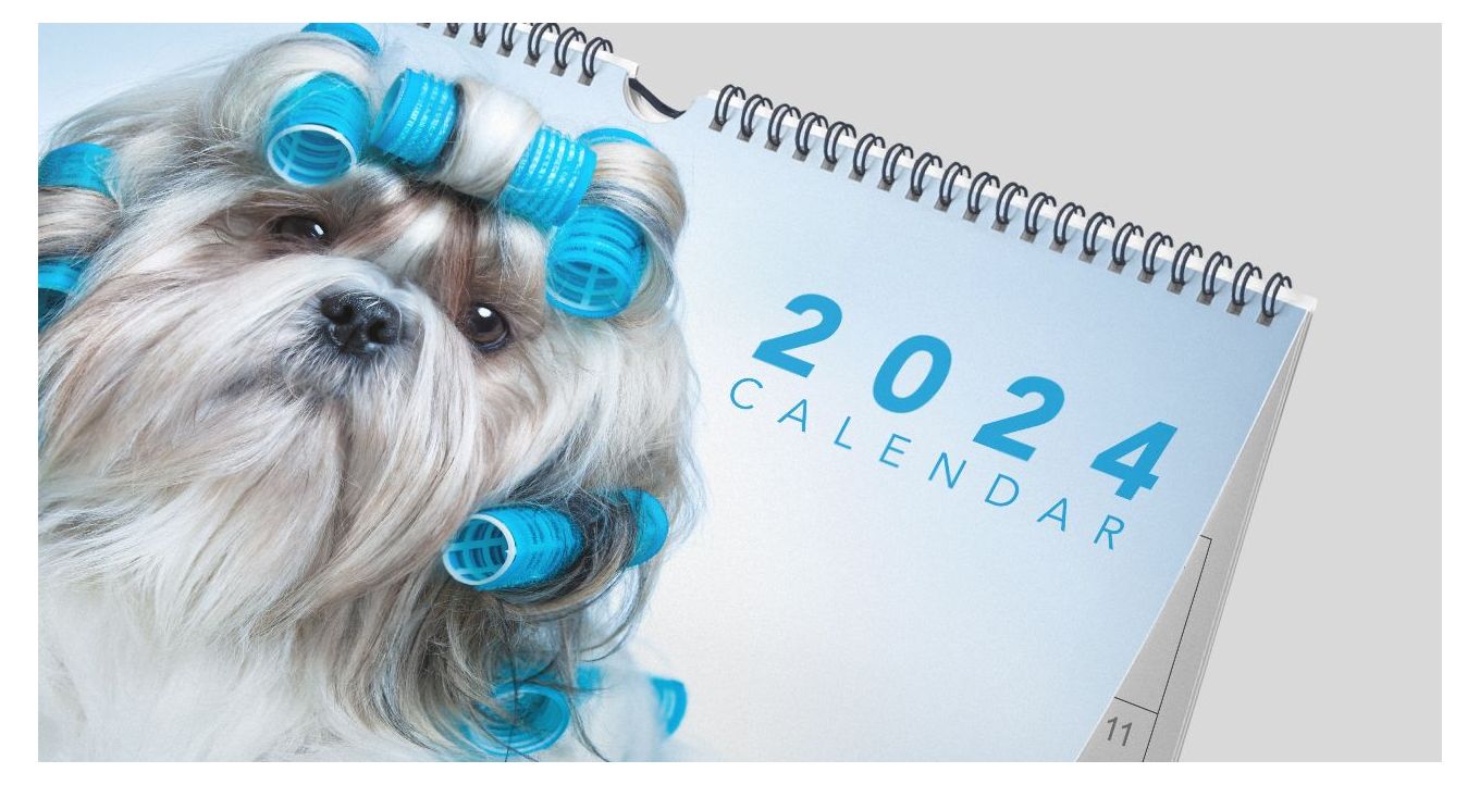 Wall calendar made using 2024 calendar template with dog on the cover