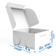Bakery and Cake Boxes 4x4x2
