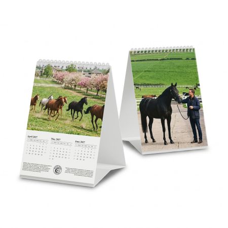 3-month desk calendar with wire-o binding showing printing on multiple sides