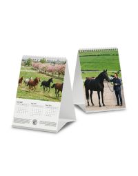 3-month desk calendar with wire-o binding showing printing on multiple sides