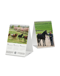 3-month desk calendar with wire-o binding showing printing on multiple sides