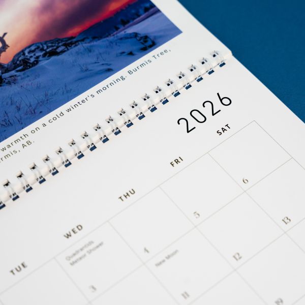 2026 Seasons Wall Calendar - 12 Month Calendar With Large Writing Blocks, US & Canadian Holidays