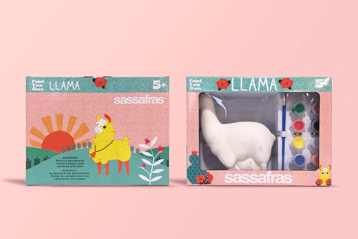 Best toy packaging design for a coloring llama toy