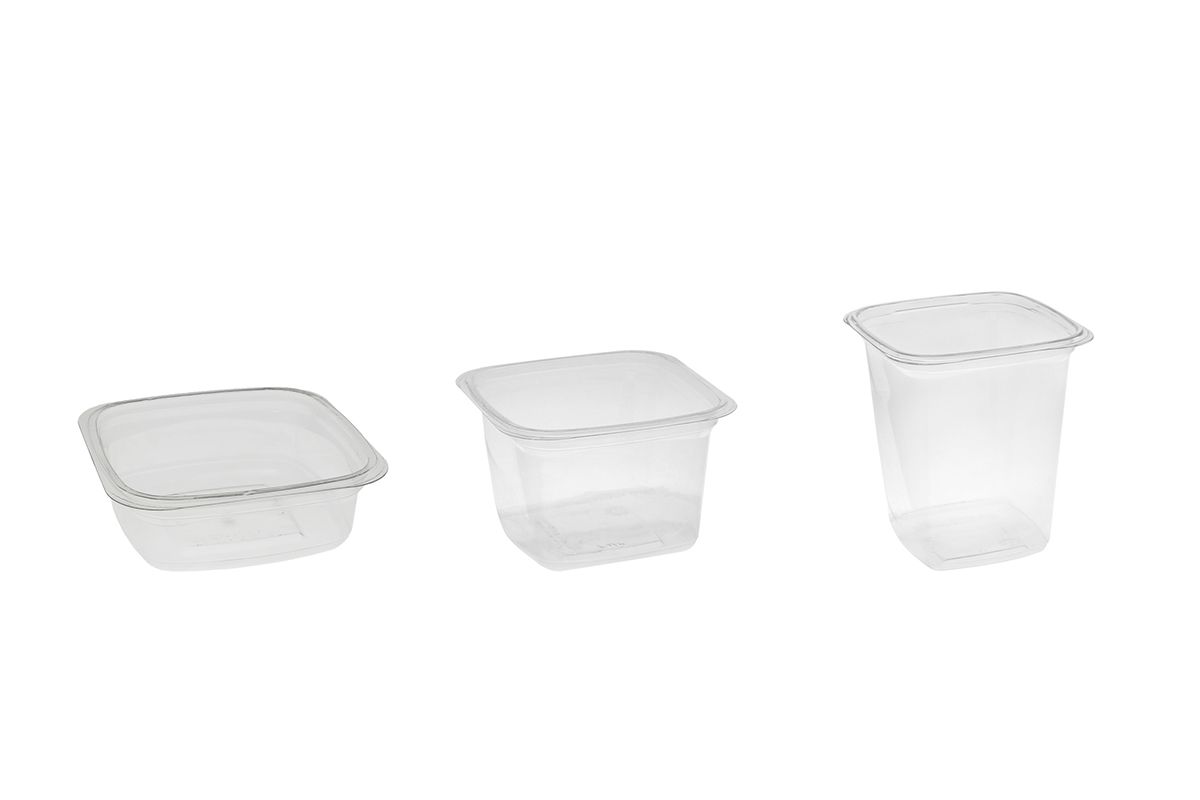 Sustainable Disposable Plastic Food packaging-Three different sizes of clear rectangular disposable plastic food containers on the white background