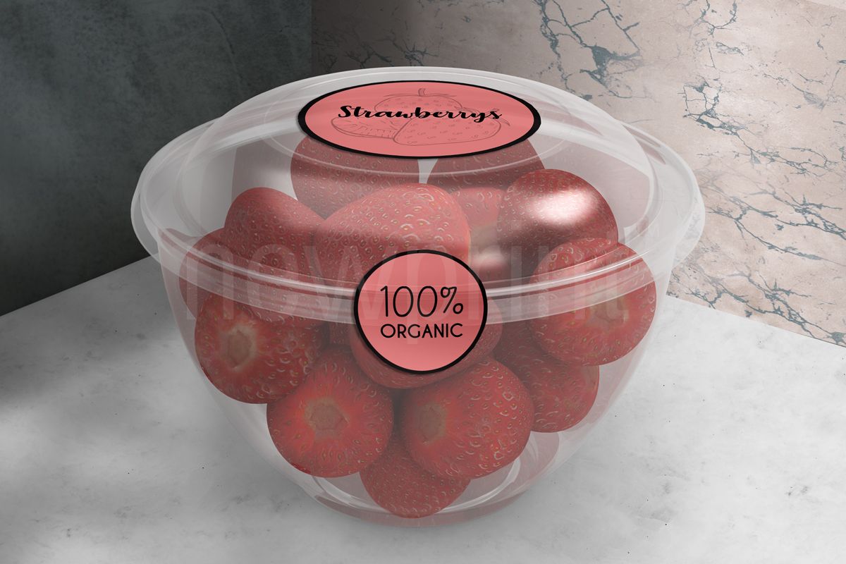 Sustainable Disposable Plastic Food packaging-Disposable plastic food container branded with labels on the top and on the side of the lid