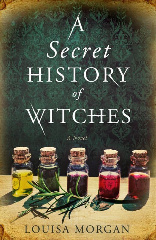 best book cover design - A Secret History of Witches cover