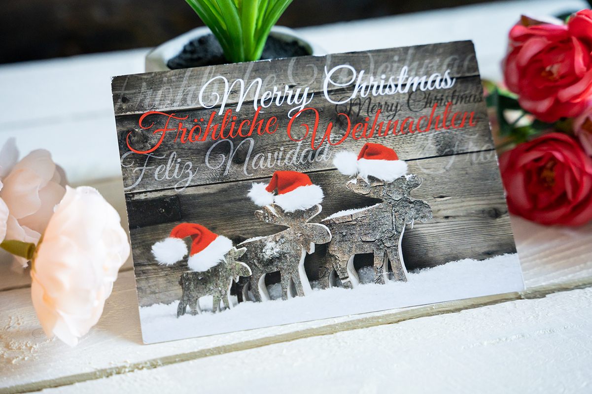 Holiday card on a white wooden background with flowers around, holiday card design inspiration.